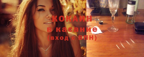 индика Пересвет