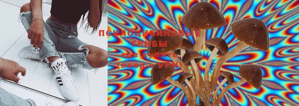 PSILOCYBIN Осташков