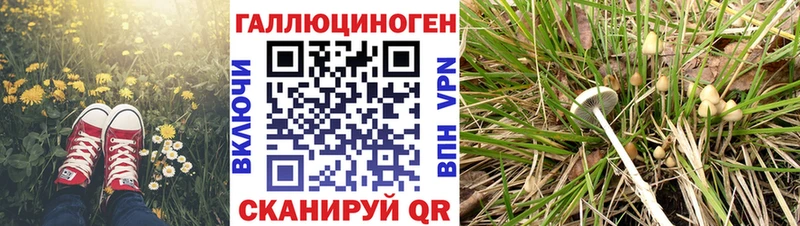 дарнет шоп  Североуральск  Псилоцибиновые грибы ЛСД 